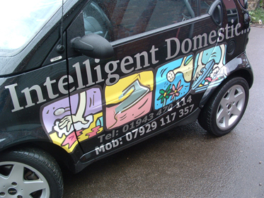 Intelligent Domestic